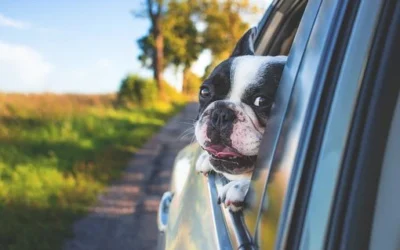 Zo ben je goed voorbereid voor een roadtrip